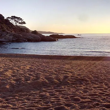 ⭑ Terrace + Sea Views + Private Beach. What Else? ⭑ * 또사데마르